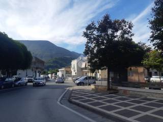 Zona