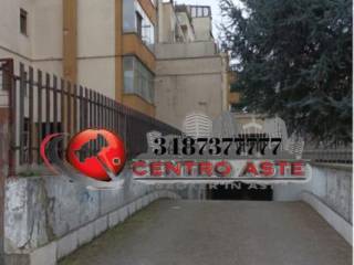 Zona
