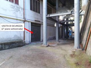 Zona