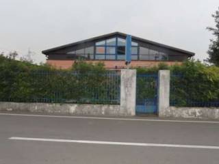 Zona