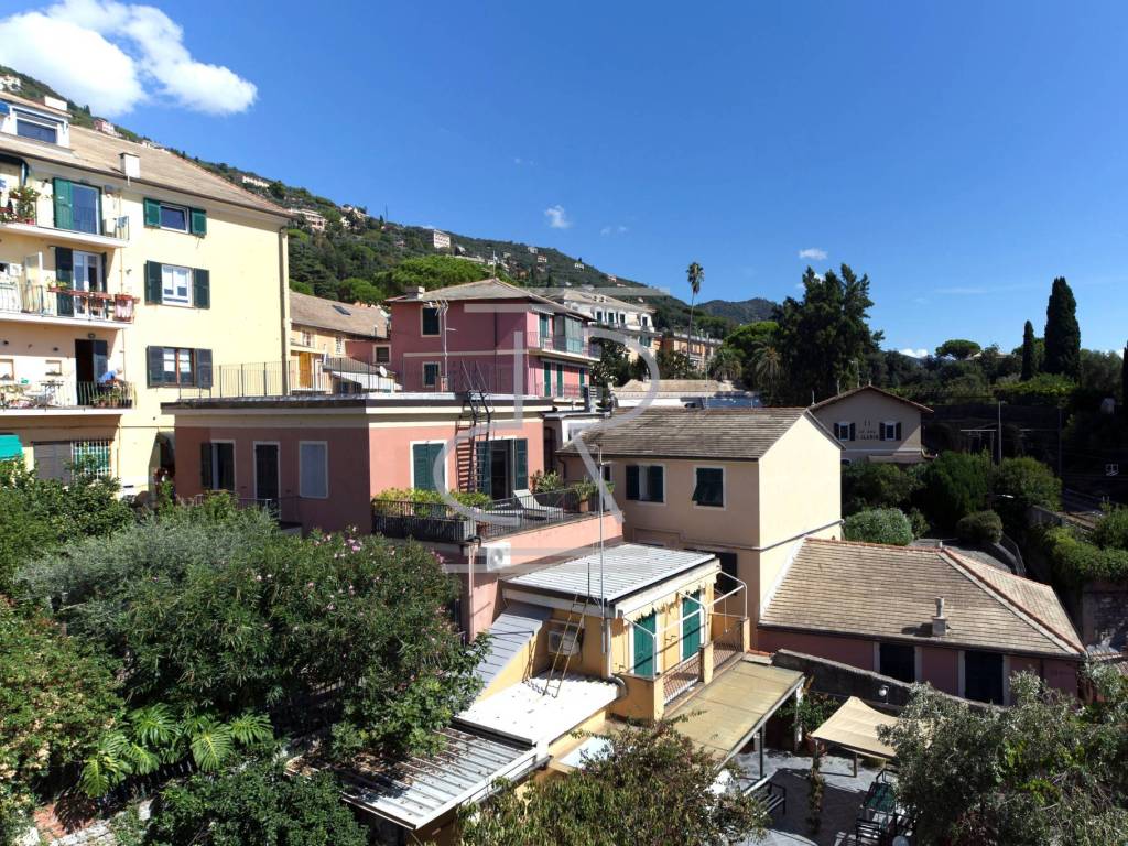 Vista