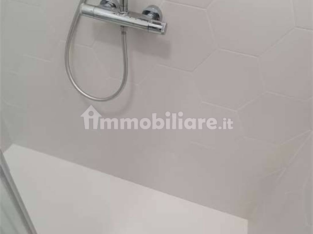 Stanza doppia in Nizza Millefonti, foto 24 di 38