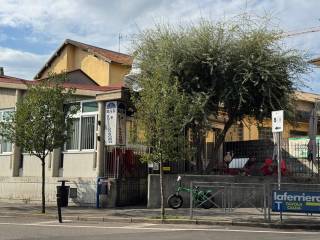 Zona
