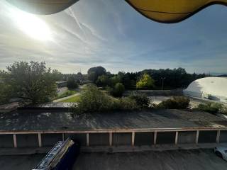 Vista