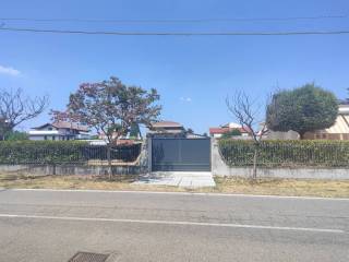 Zona