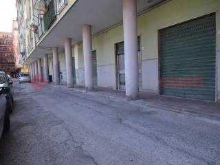Zona