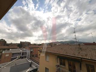 Vista