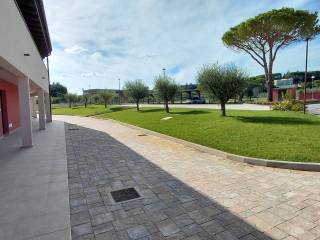 Zona