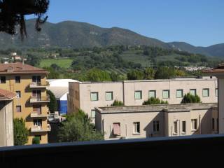 Vista