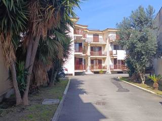 Zona