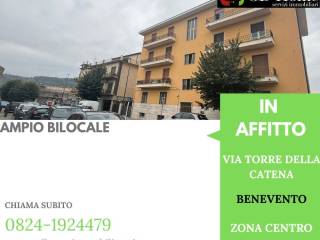 Zona