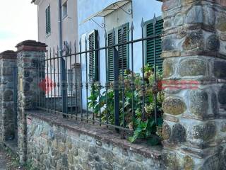 Zona