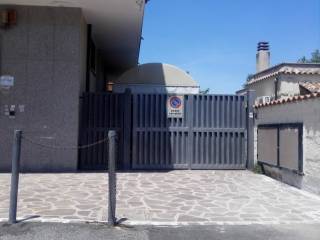 Zona