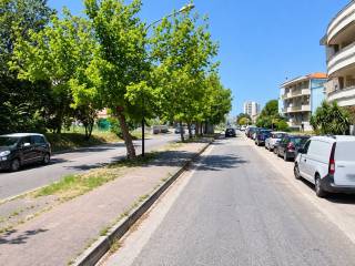 Zona