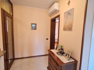 Ingresso