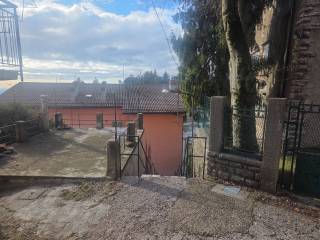 Vista
