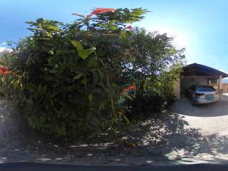 Zona