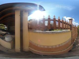 Zona