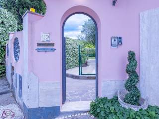 Ingresso