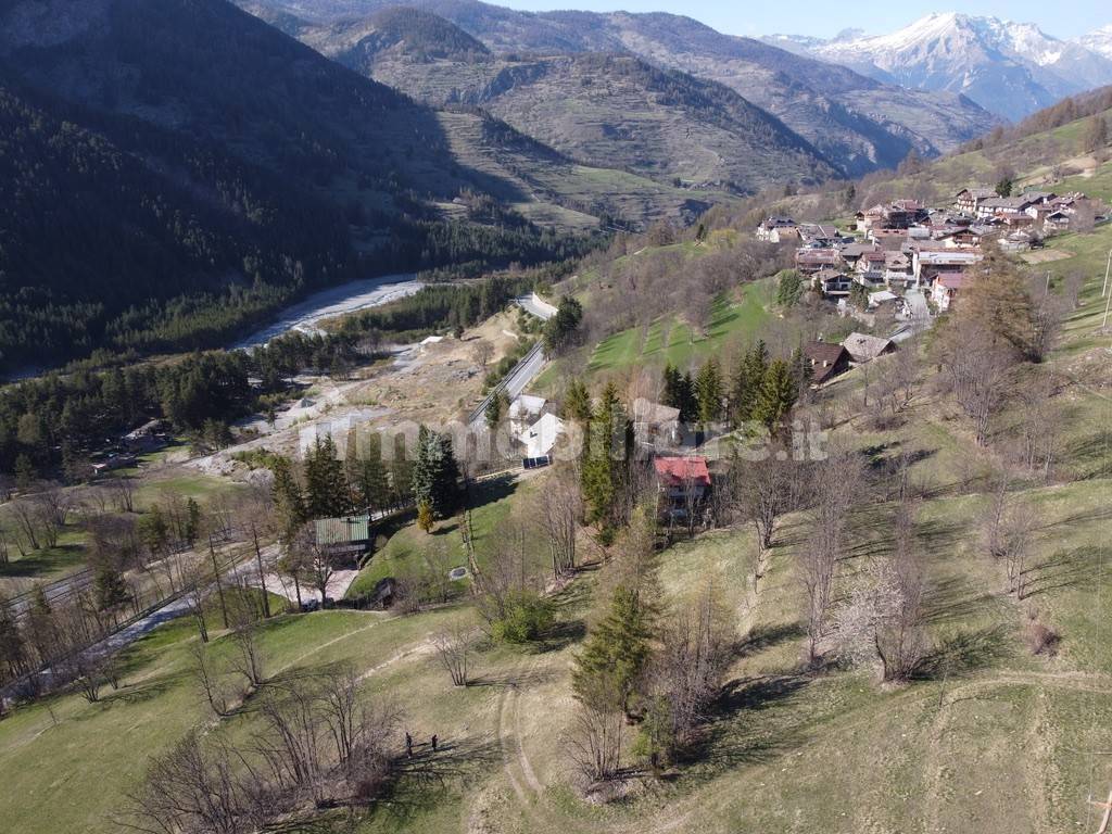 Vista