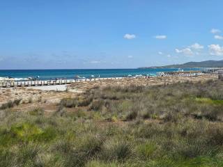 Zona