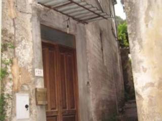 Zona