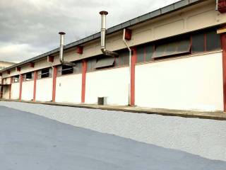 Zona