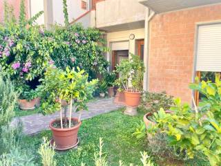 Ingresso
