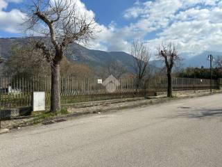 Zona