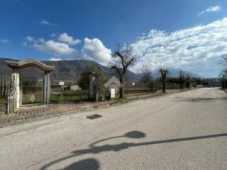 Zona