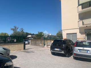 Zona