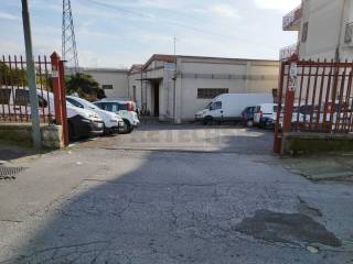 Zona
