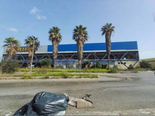 Zona
