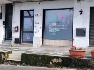 Ingresso