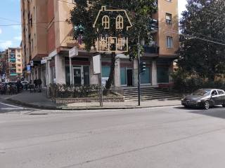 Zona