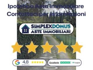 Zona