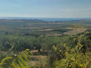 Vista