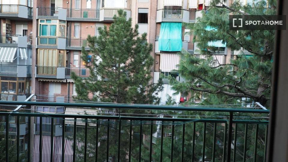 5 stanze singole in Mirafiori Sud, foto 11 di 18