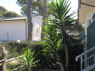 Zona