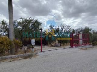 Zona