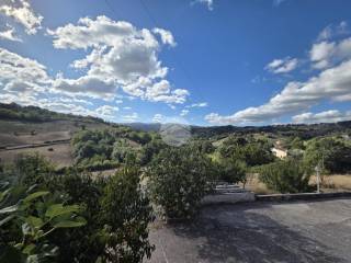 Vista