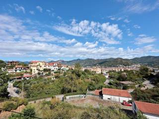 Vista