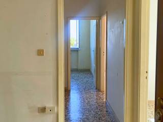 Ingresso