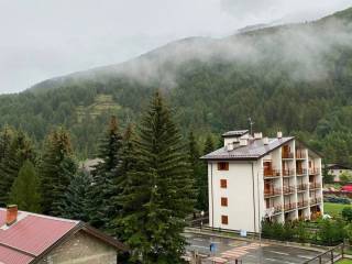 Vista
