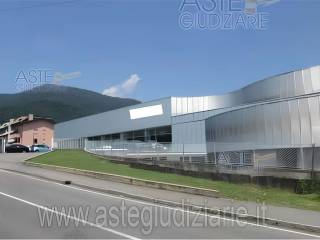 Zona