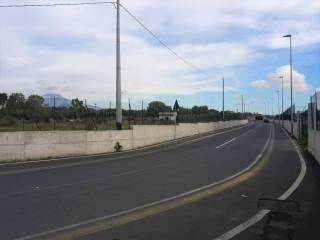 Zona
