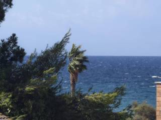 Vista