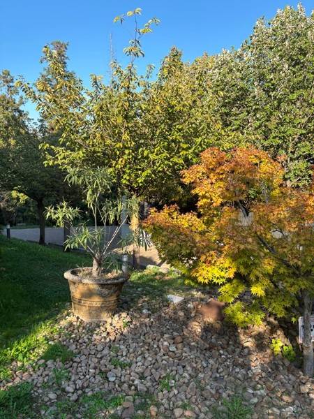 Appartamento in Sassi, foto 3 di 28