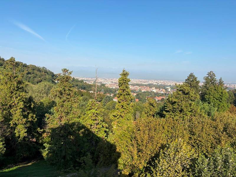 Appartamento in Sassi, foto 4 di 28