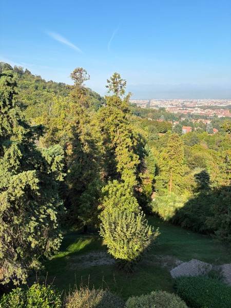 Appartamento in Sassi, foto 9 di 28